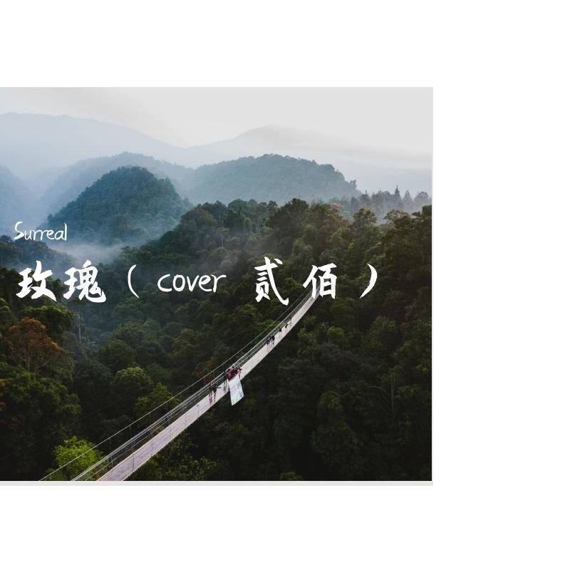 玫瑰（cover 贰佰）（翻自 贰佰）封面