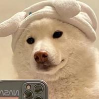 王好好