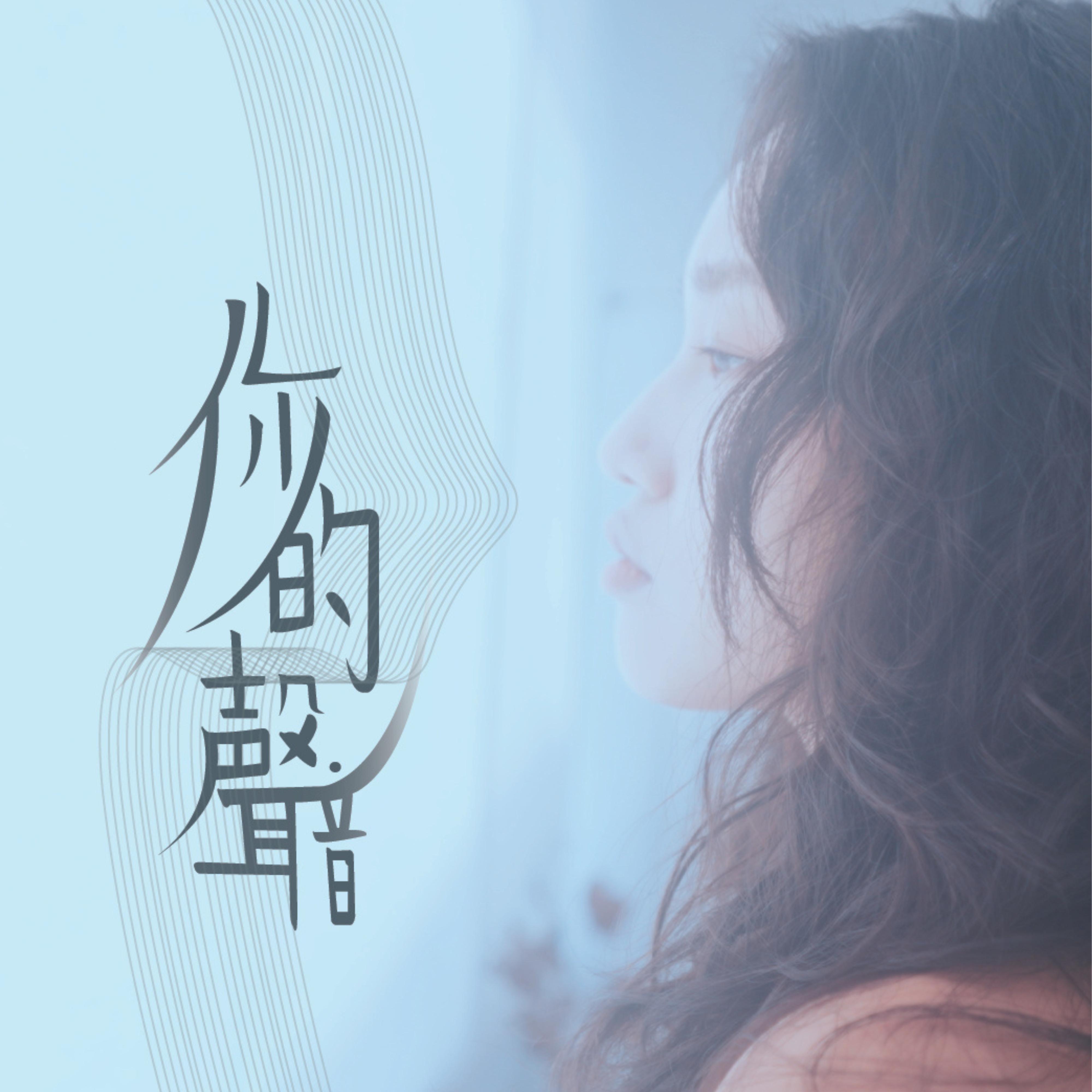 你的声音封面