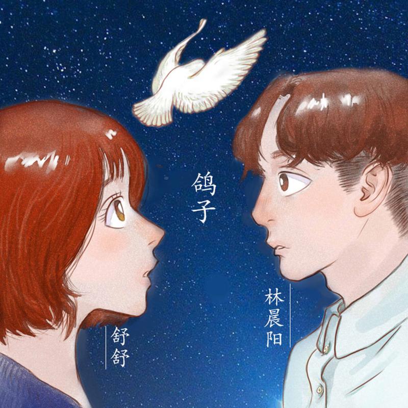 鸽子 (男伴唱)封面
