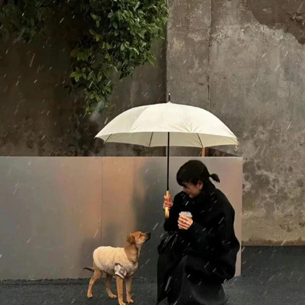 99° 耳朵怀孕系列