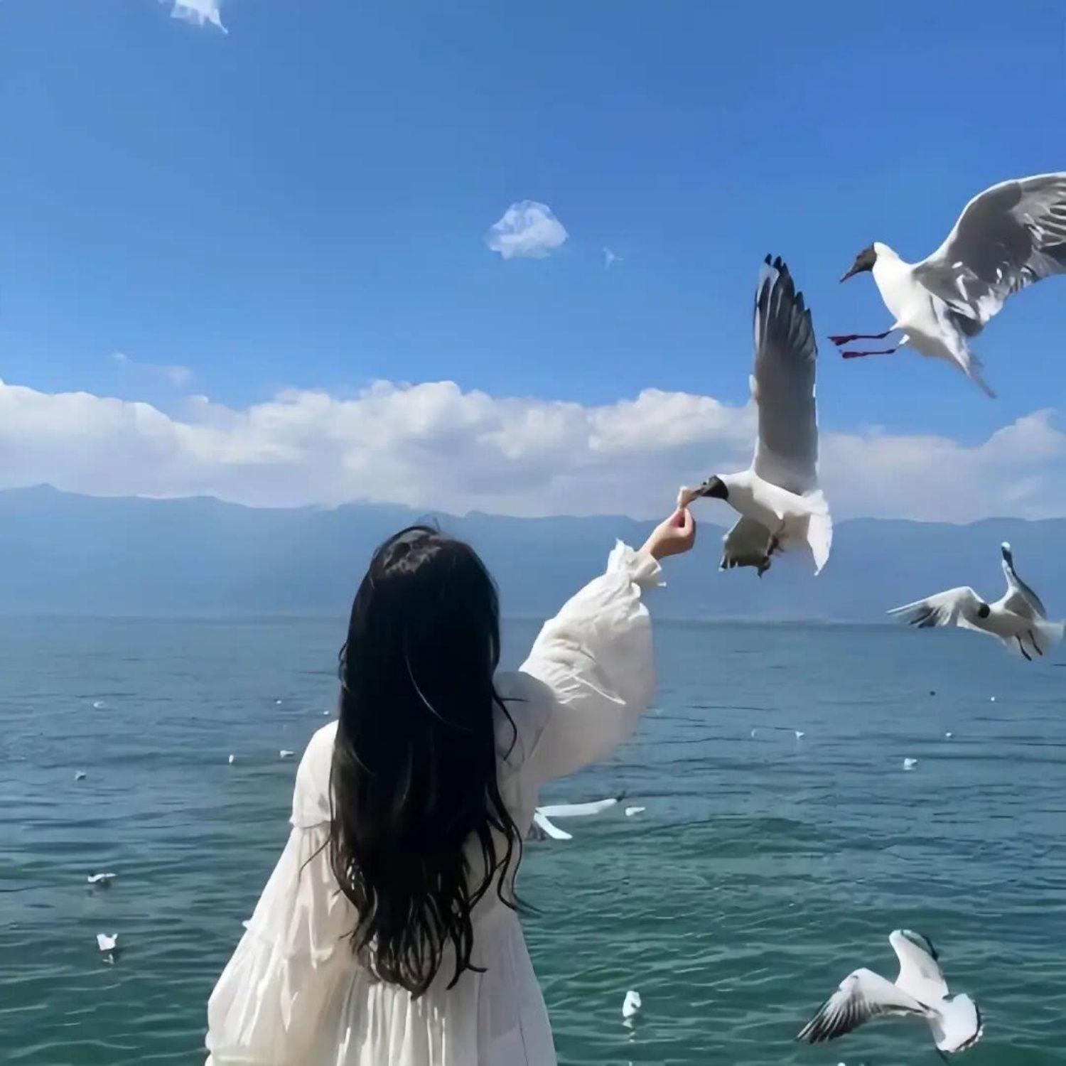被伤过的心还可以爱谁(女版)封面