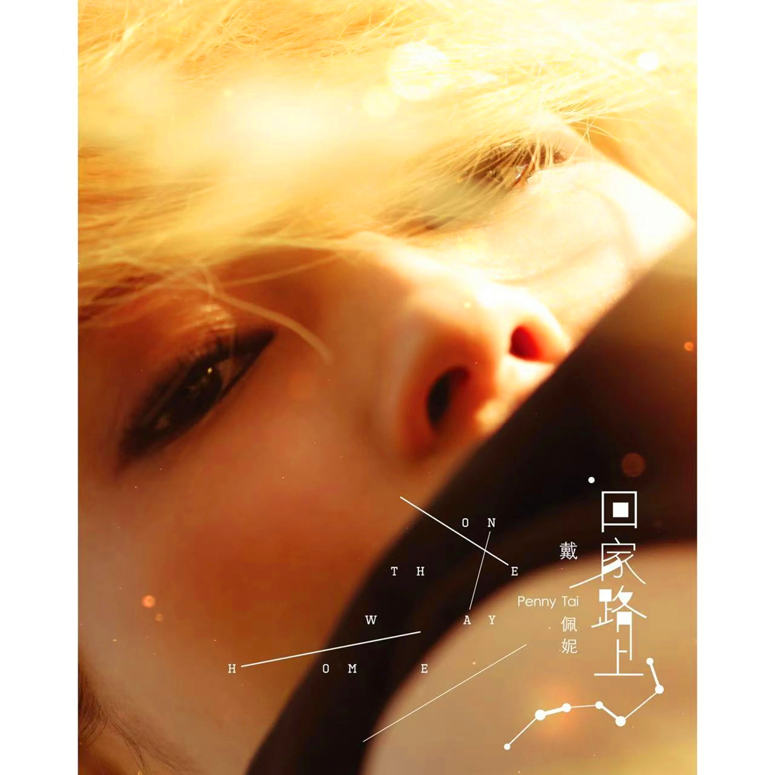 戴佩妮-《回家路上》