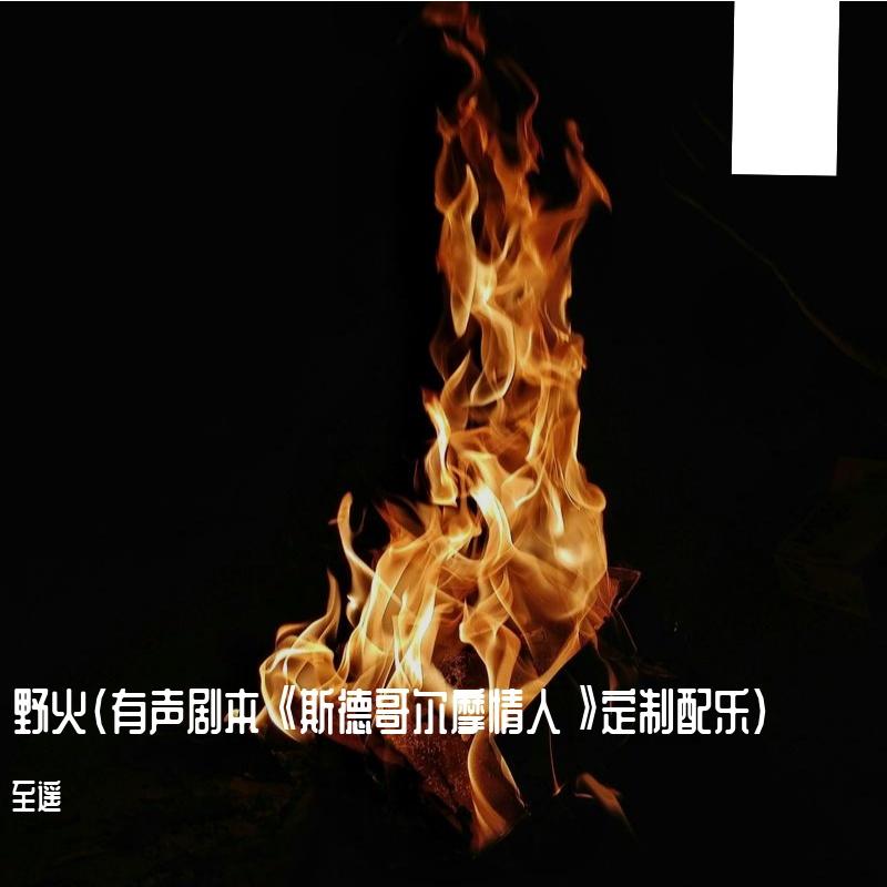 野火封面