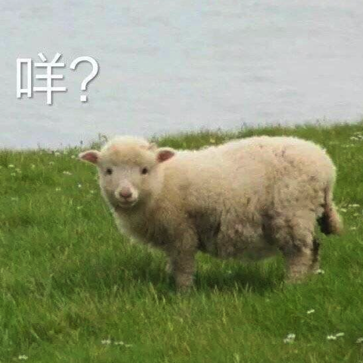 贝阿提丝封面