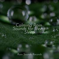 Calming Rain Sounds for Deep Sleep