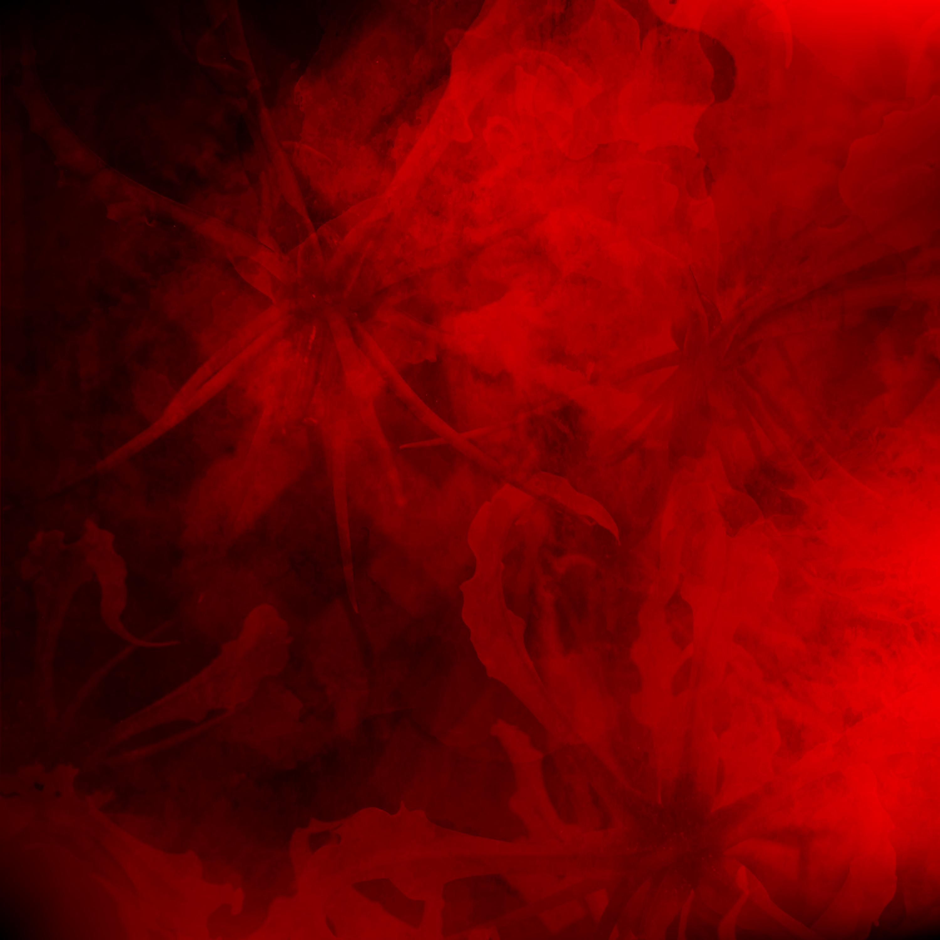 Darkling Heart (inspired by Shadow and Bone) (feat. ThatViolinChick & Fernando Perdomo)