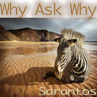 Why Ask Why