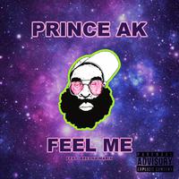 Feel Me (feat. Breana Marin & DJ Pain 1)