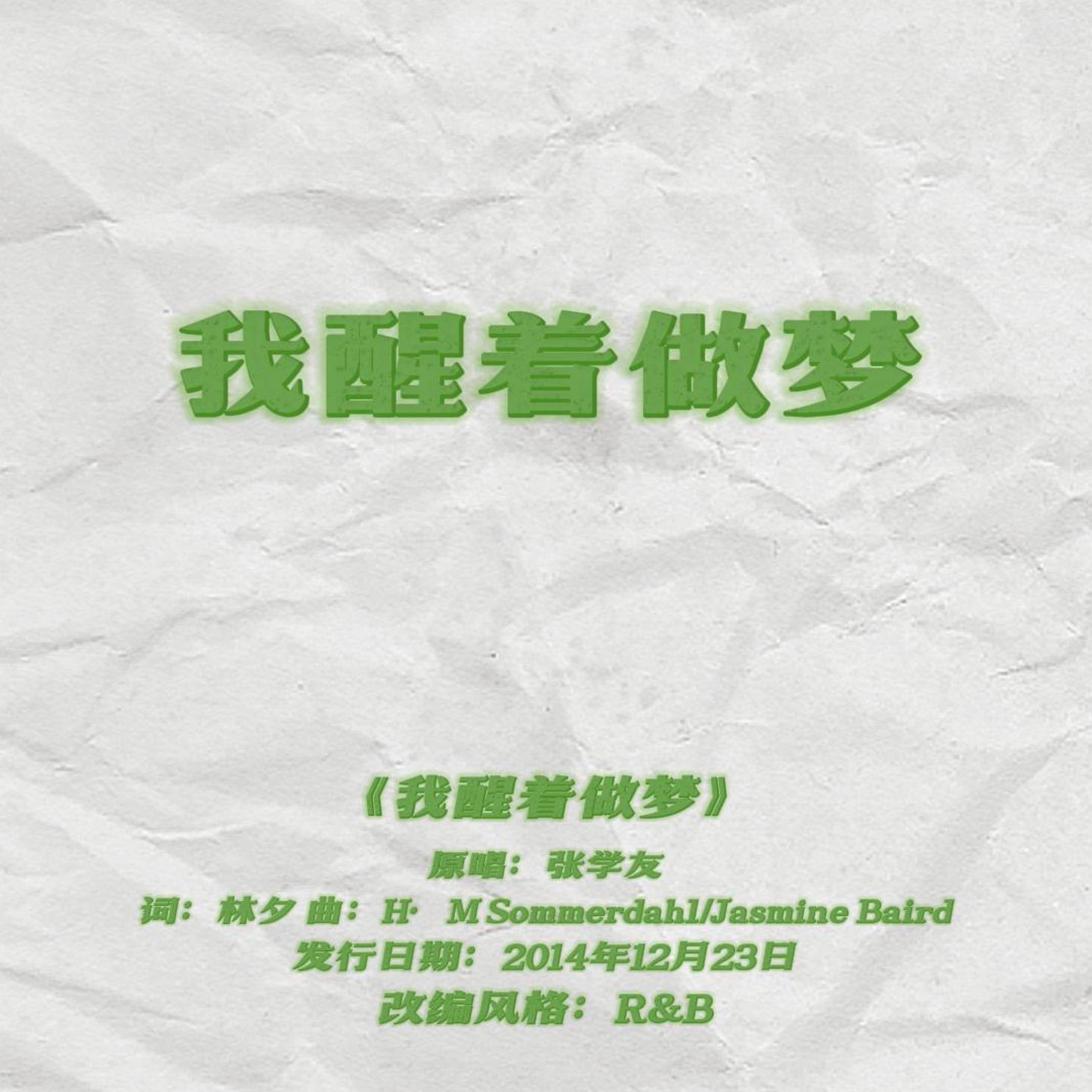 我醒着做梦封面