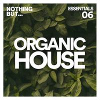 Nothing But... Organic House Essentials, Vol. 06