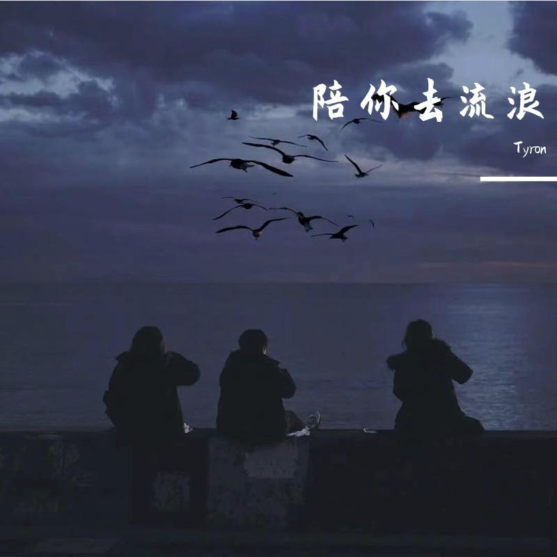 陪你去流浪（烟嗓女版）封面