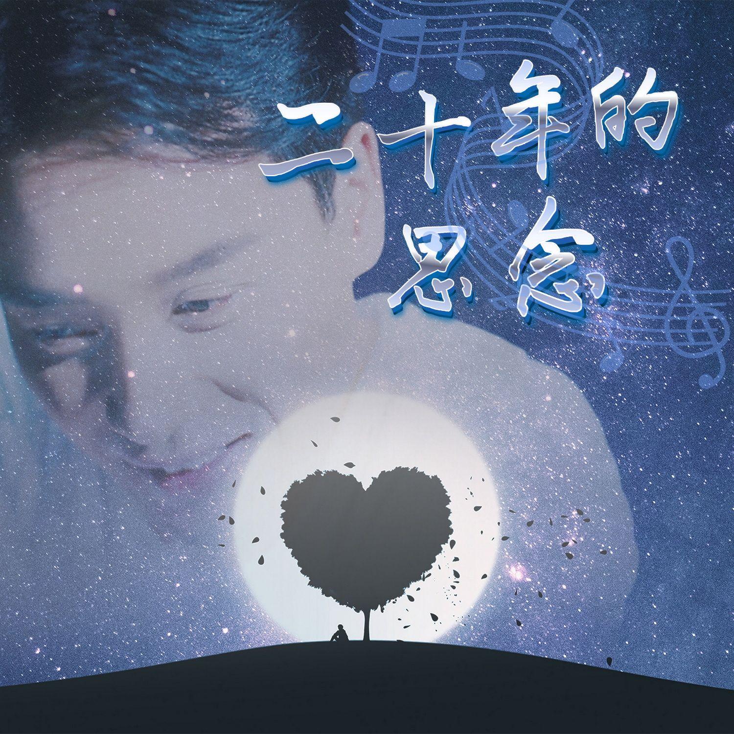 二十年的思念封面