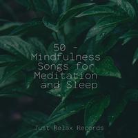 50 - Mindfulness Songs for Meditation and Sleep