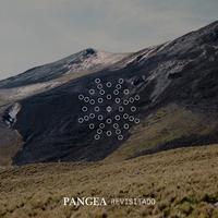 Pangea Revisitado