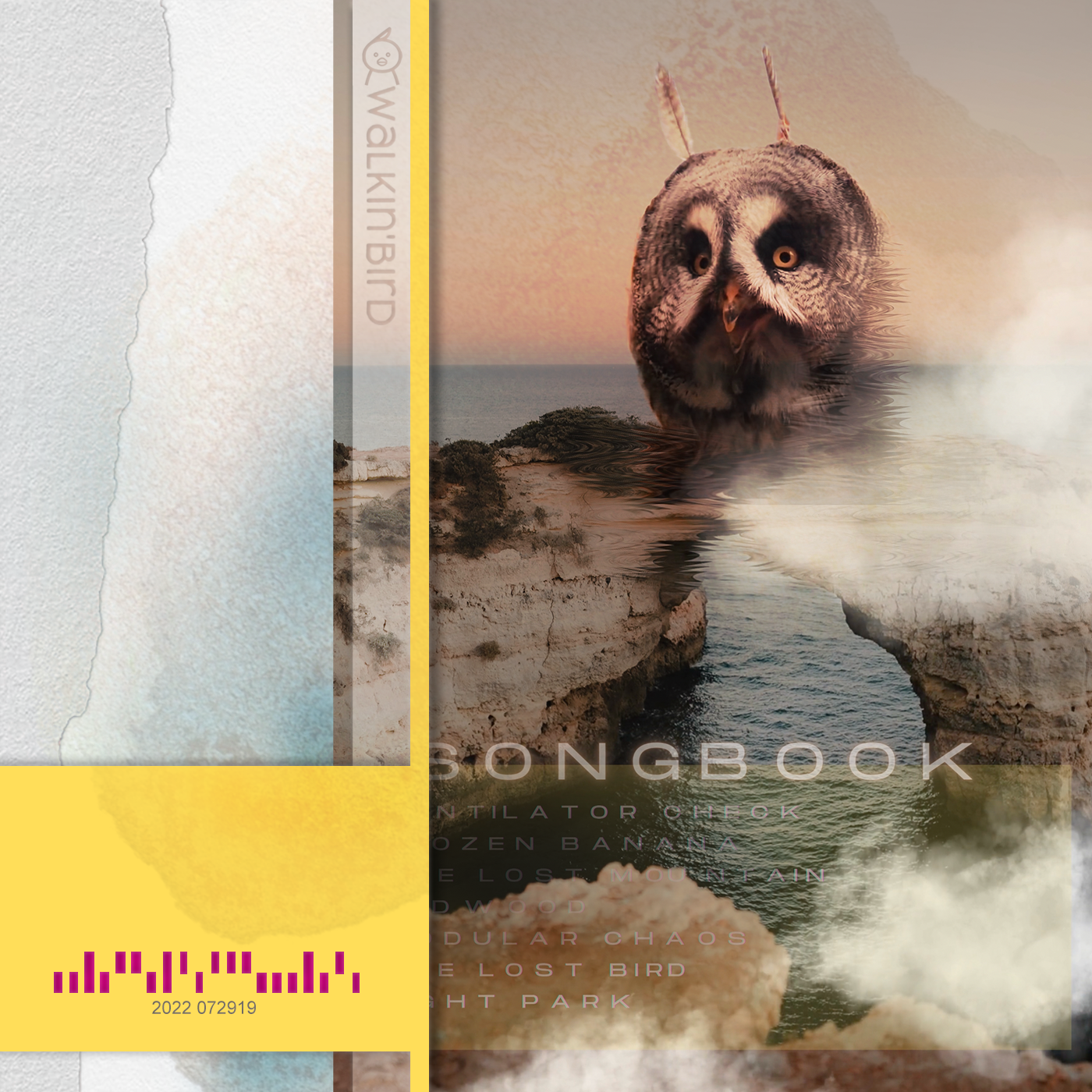 song-img