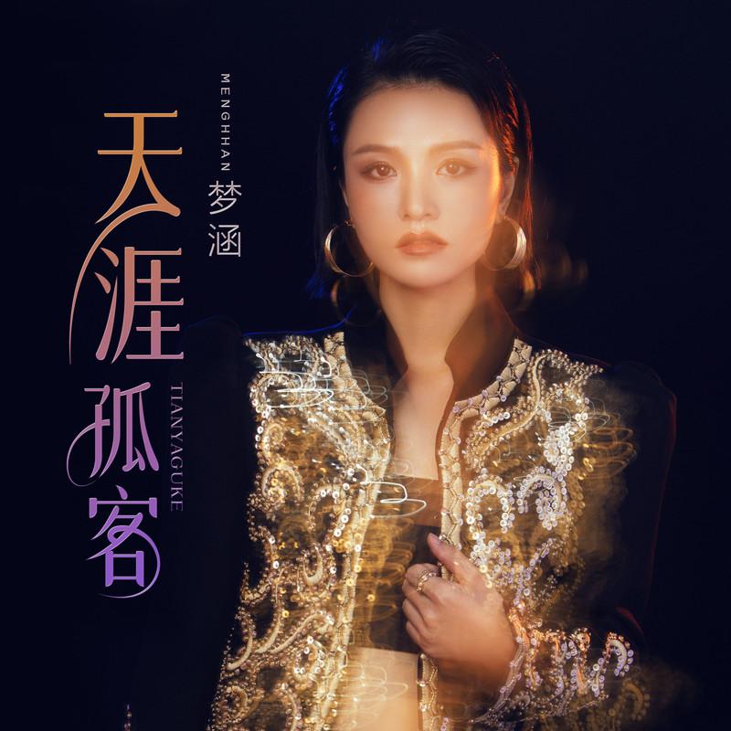 天涯孤客封面