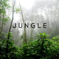 Jungle