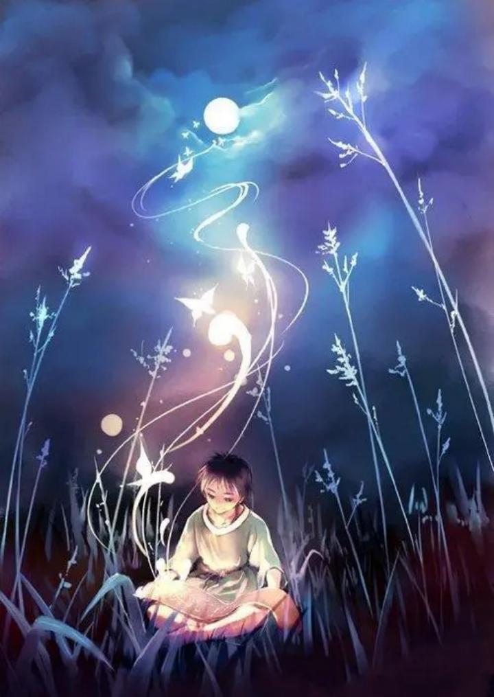 昨夜星辰封面
