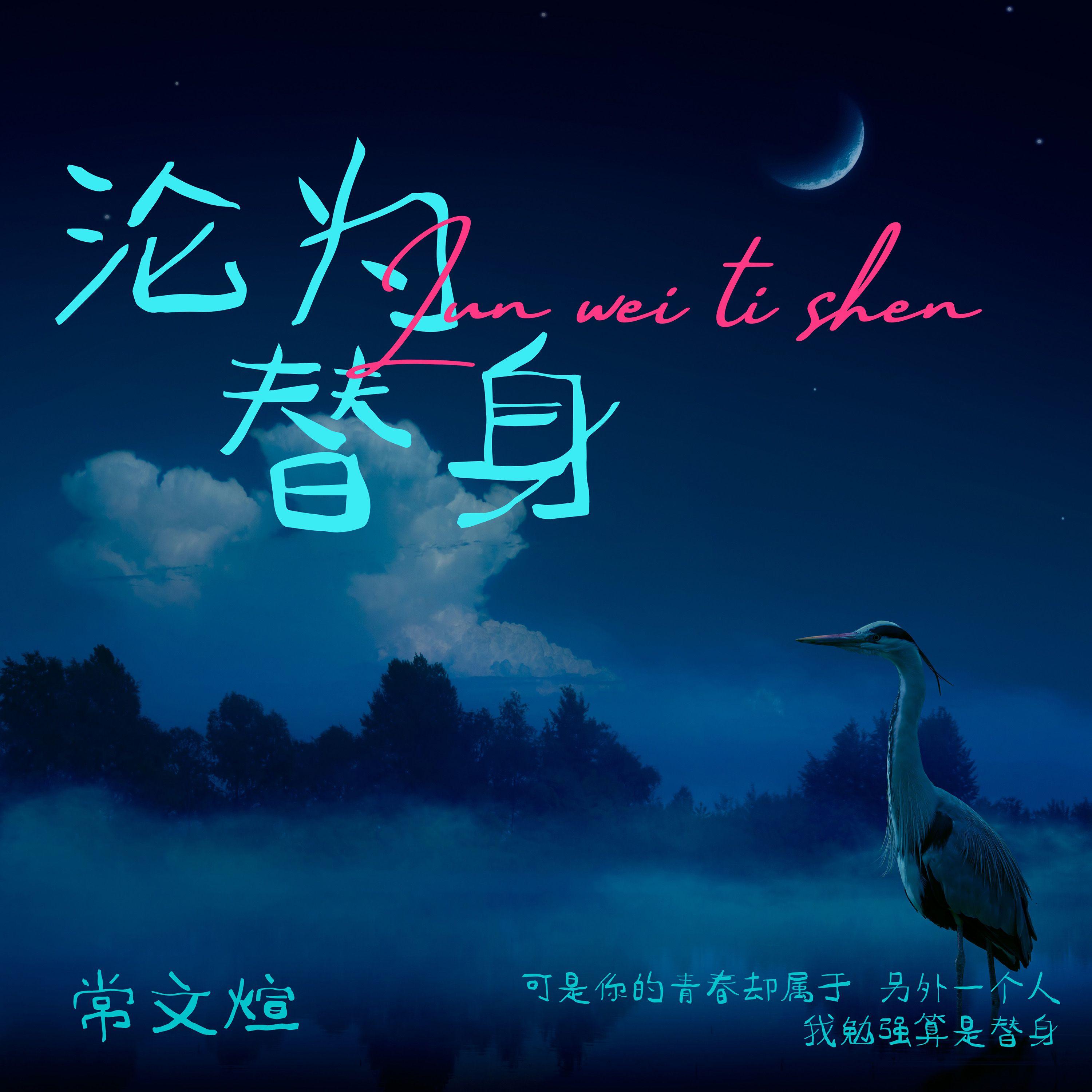 沦为替身封面