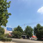 蓝色心情