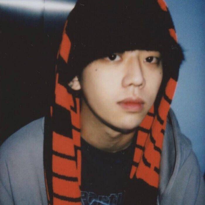 爱打拳的菠萝弟_