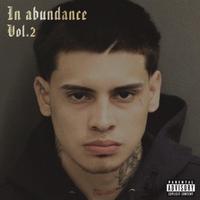 In Abundance vol.2