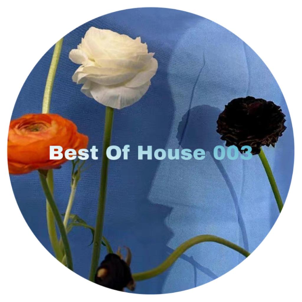 H O U S E  |  0 0 3.