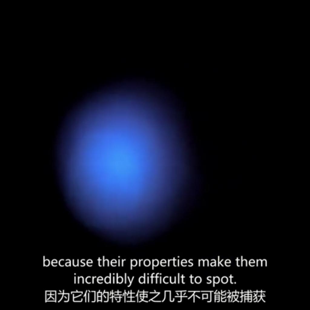 瞎摇,啤酒,中南海.