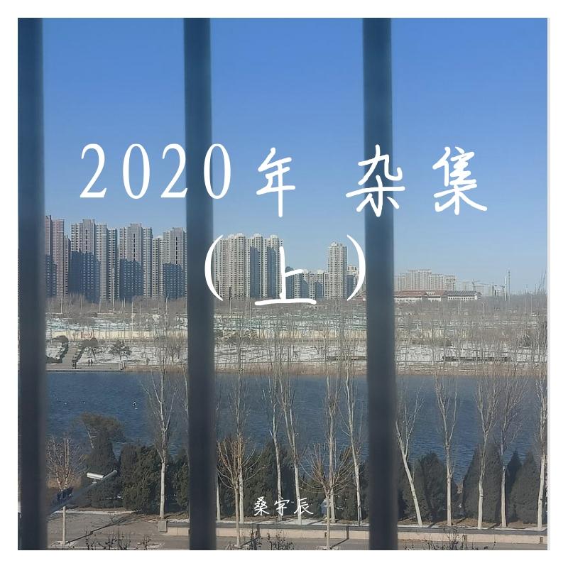 输家(demo)封面