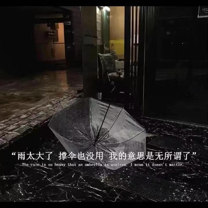 珍惜 (8) - 细毛e封面