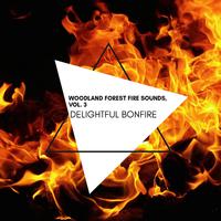 Delightful Bonfire - Woodland Forest Fire Sounds, Vol. 3