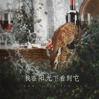 我在阳光下看到它