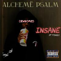 Insane (feat. ToxSic)