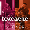 Boyce Avenue - Sucker