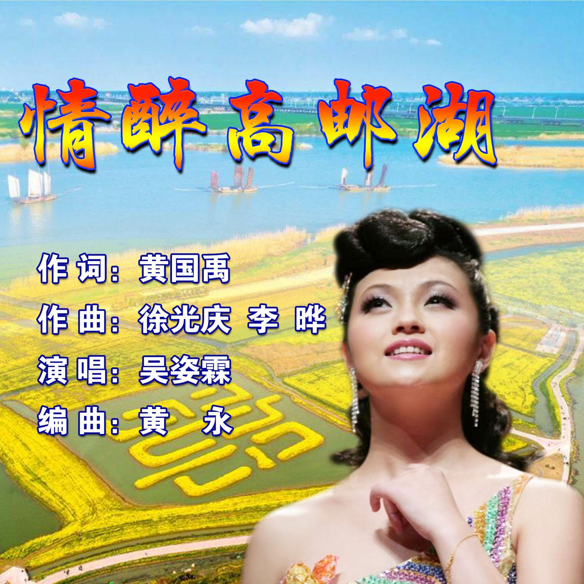 情醉高邮湖封面