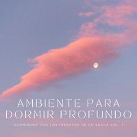 Ambiente Para Dormir Profundo: Durmiendo Con Los Insectos De La Noche Vol. 1