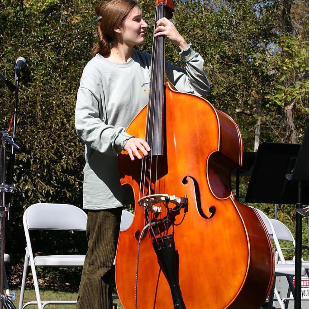 大师致敬，低音提琴（大贝斯double bass）