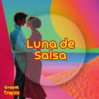 Luna de Salsa