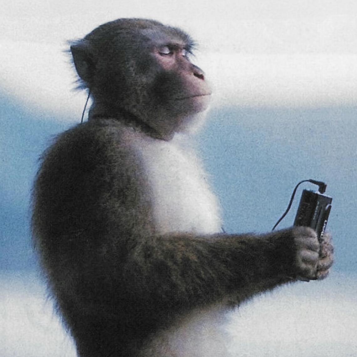 中文歌里的战斗机（萱子认证