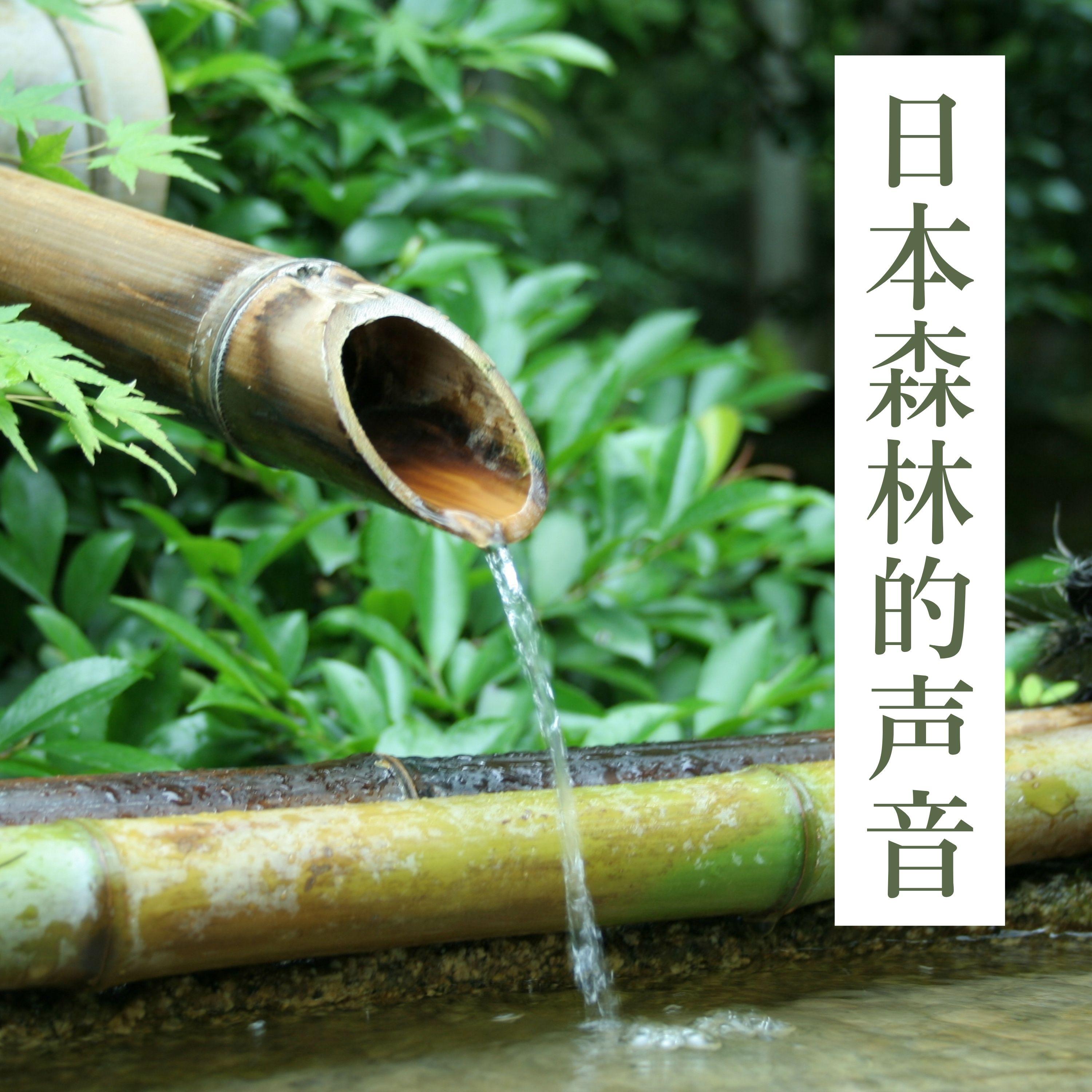 日本鸟轻音乐封面