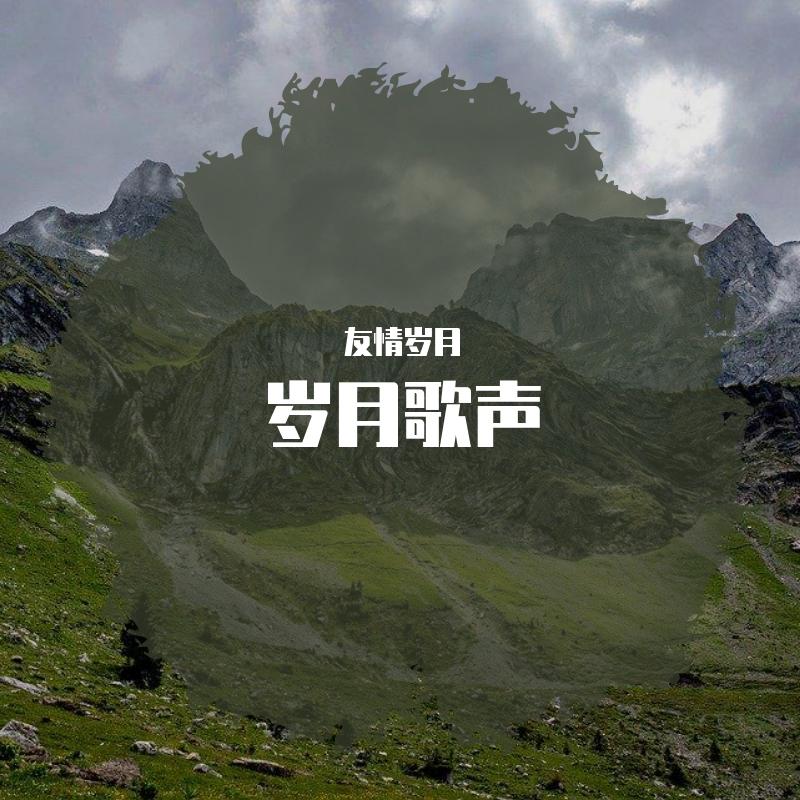 岁月歌声 伴奏 - 友情岁月封面