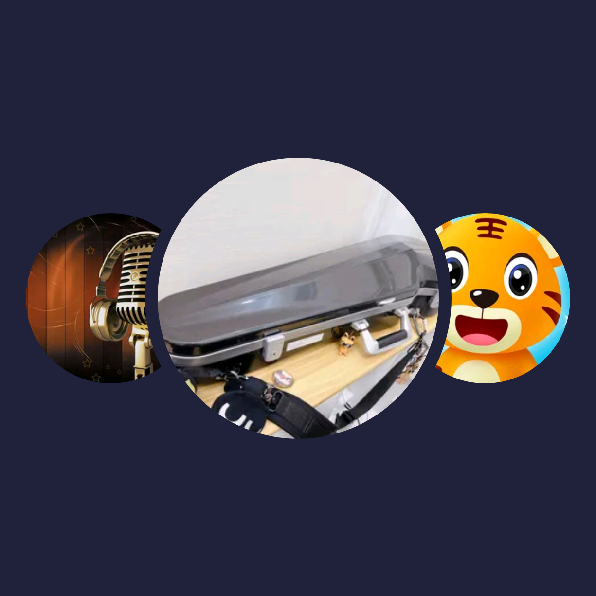 你的兴趣歌单|kammycat、群星、贝乐虎儿歌