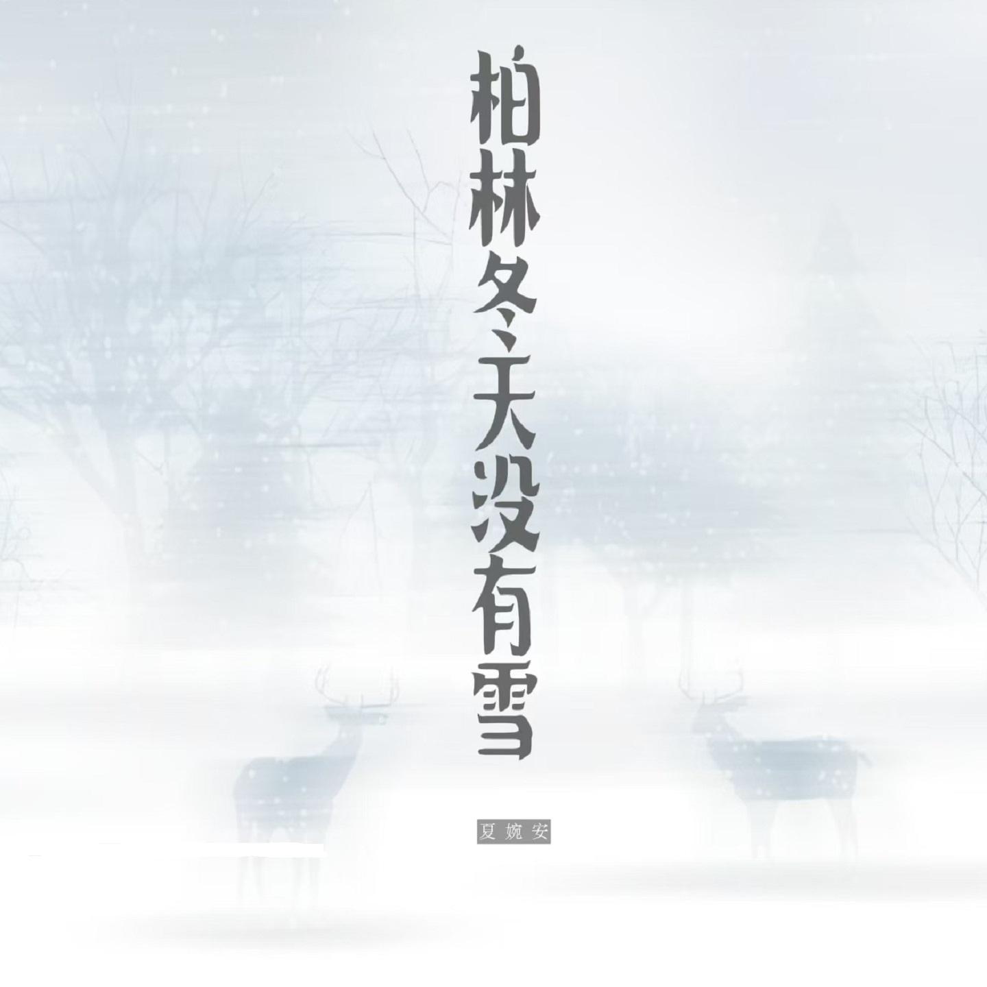 柏林冬天没有雪 (DJ版) - 夏婉安封面