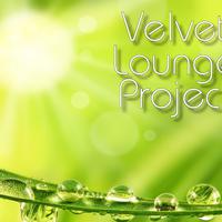 Velvet Lounge Project资料,Velvet Lounge Project最新歌曲,Velvet Lounge ProjectMV视频,Velvet Lounge Project音乐专辑,Velvet Lounge Project好听的歌