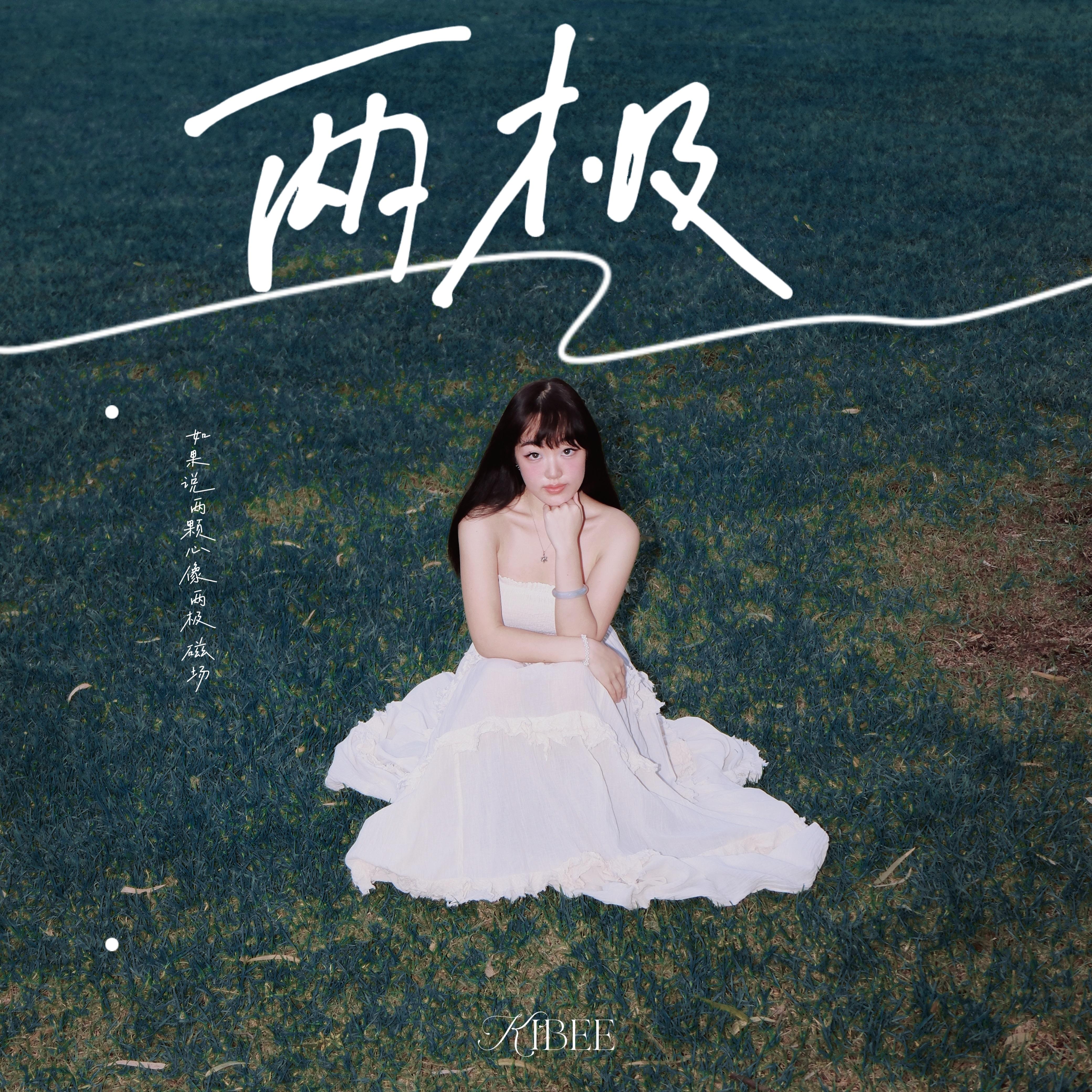 两极封面
