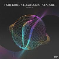 Pure Chill & Electronic Pleasure, Vol.06