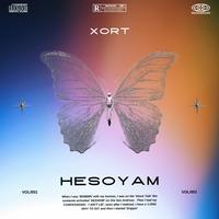 HESOYAM