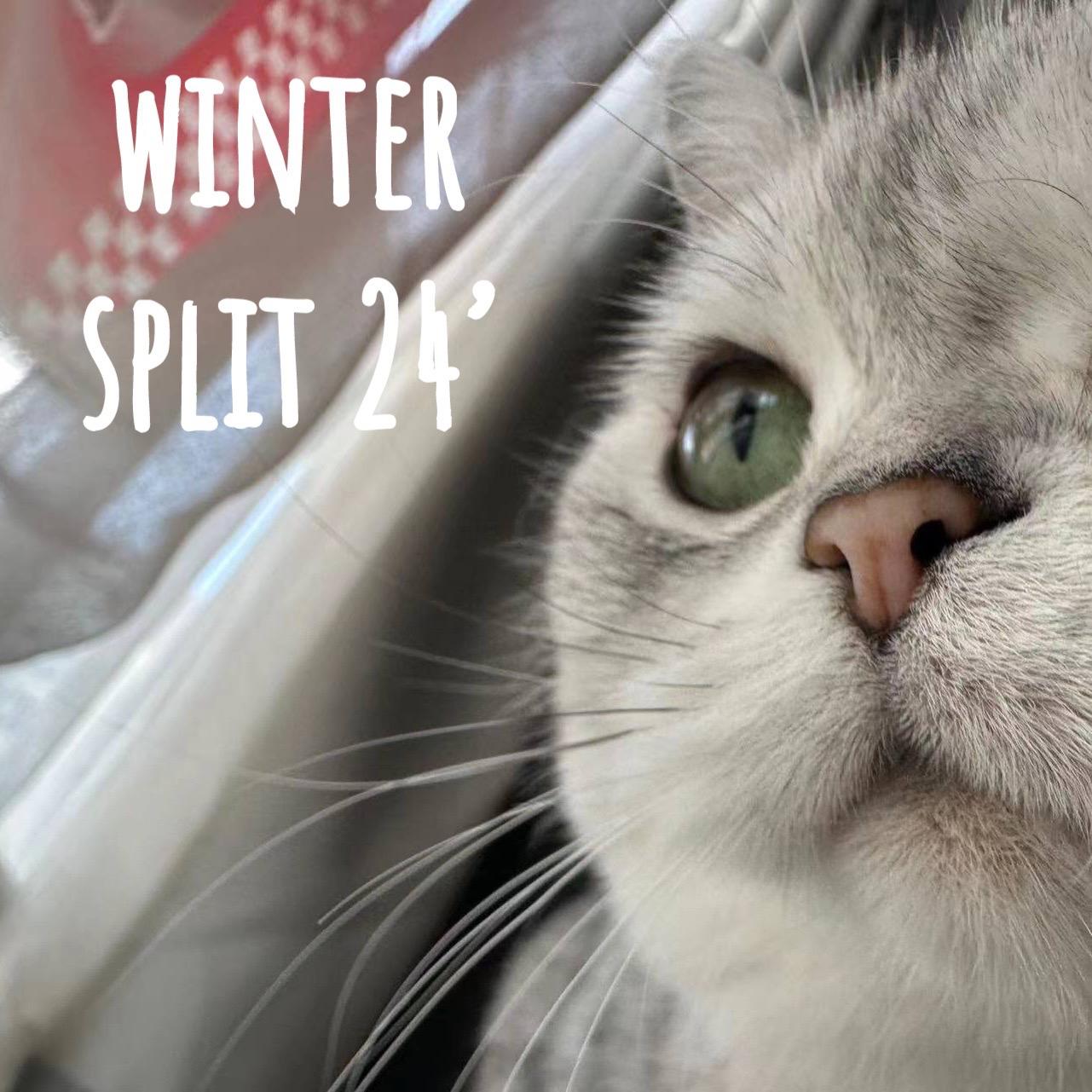 before the summer time