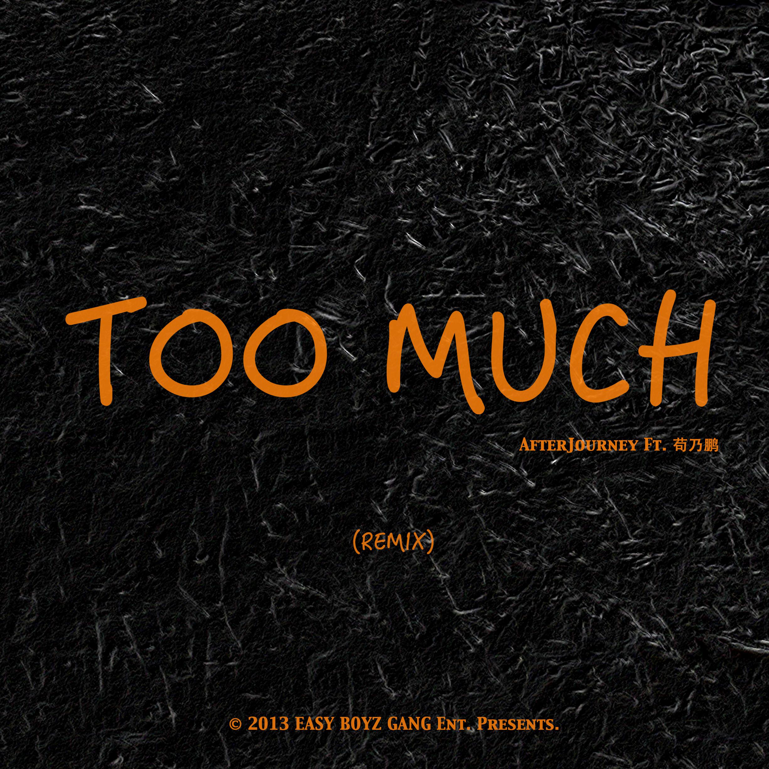 too much (remix) feat. 苟乃鹏